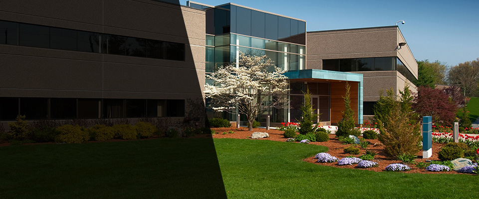 Branford Landscapers