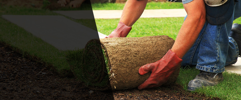 Branford Landscapers